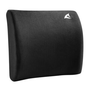 SHARKOON Skiller SLC10 | Ledvena Opora | Ergonomska Blazina