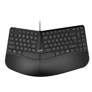 Genius Ergo KB-700 | Siva | Ergonomska Tipkovnica
