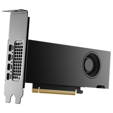 PNY NVIDIA RTX 2000 Ada Generation | 16GB GDDR6 ECC | Ada Lovelace | Low Profile Dual Slot | Profesionalna Grafična Kartica
